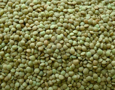 Natural Green Lentils, Certification : FSSAI