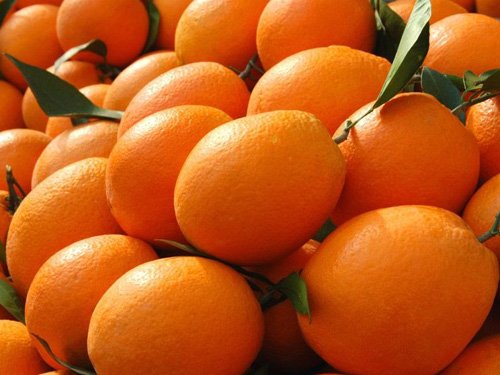 Fresh orange, Packaging Type : 25 To 40 Kg