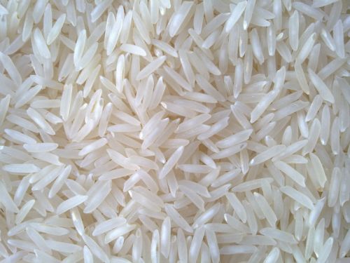 Organic Long Grain White Rice, Packaging Size : 20kg, 25kg for Cooking