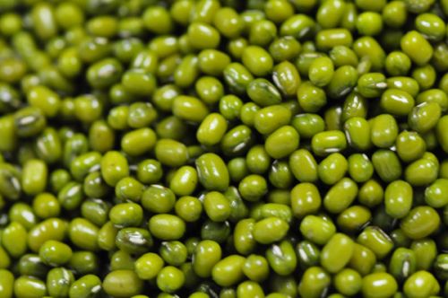 Mung Beans, Type : Pulses