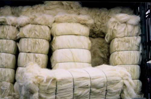 Natural White Sisal Fiber