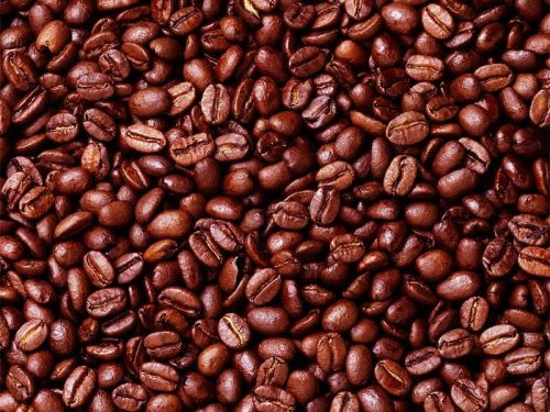 Common robusta coffee beans, Packaging Type : Light Green