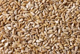Sunflower Seeds Kernels