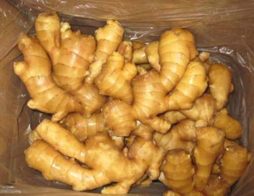 Fresh ginger Nutritional Information :Low In Calories, High In Gingerol