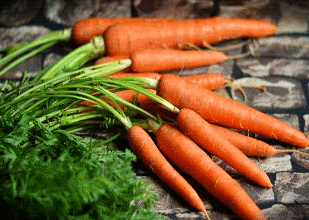 Fresh Carrots