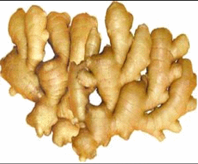 Fresh Ginger