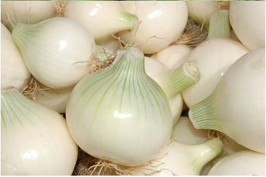 Fresh White Onion