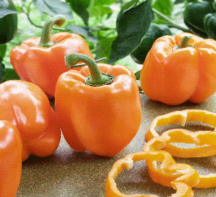 Orange Capsicum