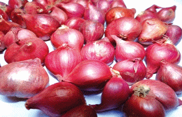 Small Red Onions