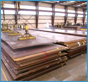 Stainless Steel Plates