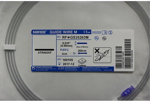 Radifocus Guidewire