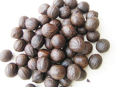 African Walnut