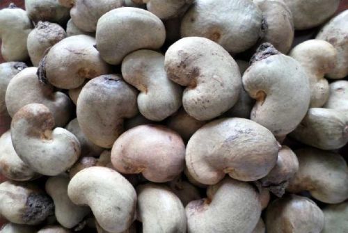 Raw Cashew Nuts, Packaging Type : Pouch, Pp Bag