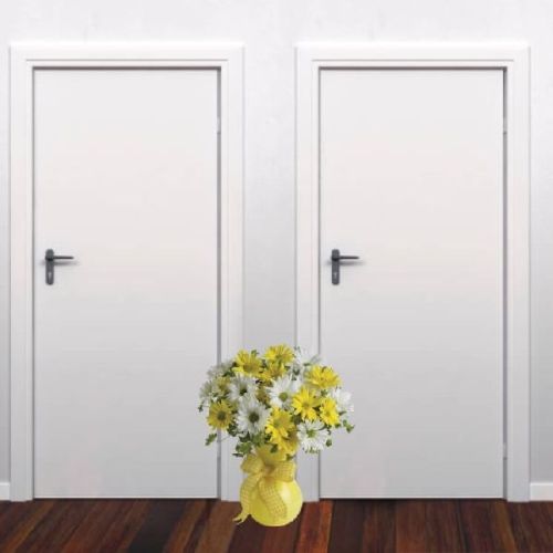 Commercial Flush Doors