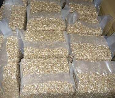 Raw Cashew Nuts, Texture : Hard