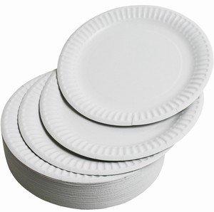 White Paper Plates