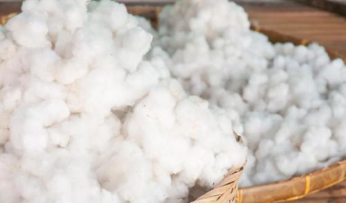 Raw cotton, Availability : Multiple Industries