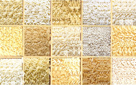 1121 white sella rice