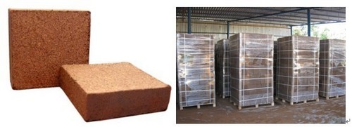Coco Peat Block 5kg, Color : Brown