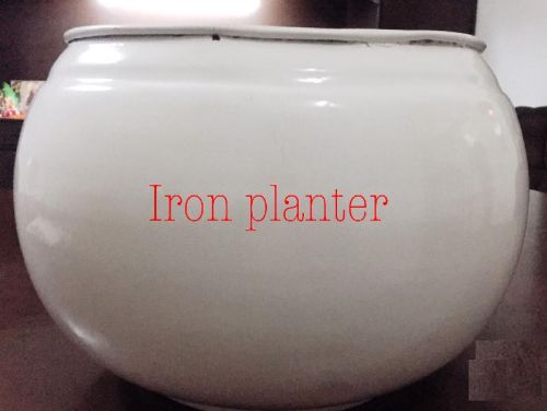 Iron Planter, For Decoration, Size : 10 Inches