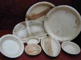 Areca Leaf Disposable Plates