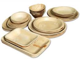 Disposable Areca Plates