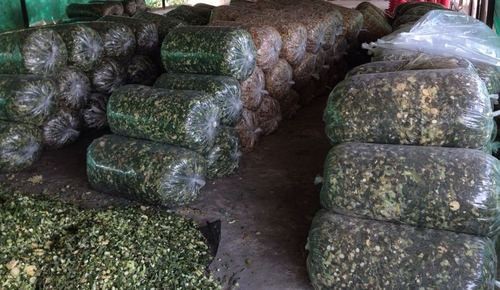 Dried Alfalfa Form : Grass