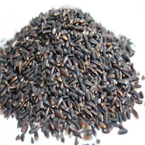 Black Kavuni RIce, For Organic, Feature : Longer Shelf Life