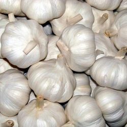 Fresh garlic, Storage : Cool, Dry Place
