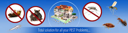 Pest Control Services