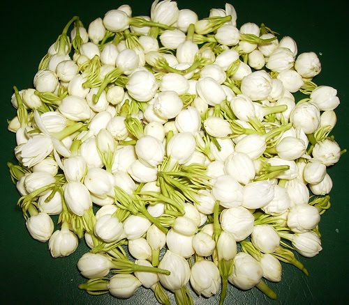 Fresh Jasmine Flowers