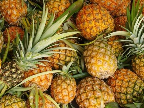 Fresh Pineapple, For Food, Packaging Type : Carton Box