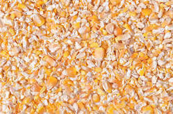 Crushed Maize