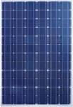 90W Polycrystalline Solar Panel (MAC-PSP090)