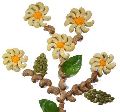 CASHEW NUTS WW240, Brand Name : HUYNH GIA AGRI JSC