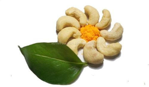 CASHEW NUTS WW320, Brand Name : HUYNH GIA AGRI JSC