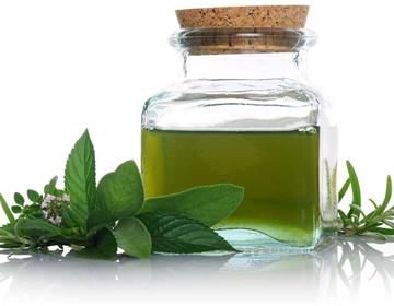 MINT OIL