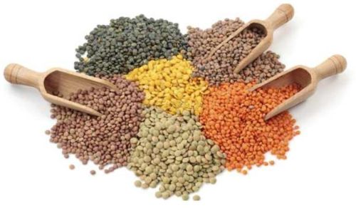 Organic Pulses