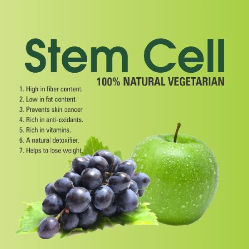 Stem Cells