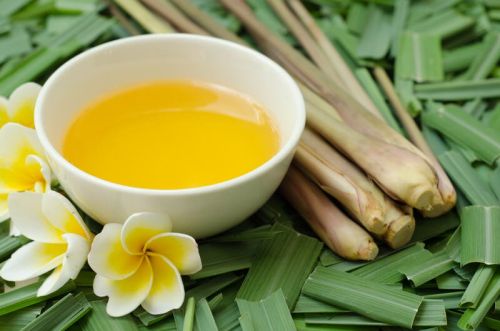 Citronella Oil, Color : Yellow, Purity : 100% for Insect Repellent