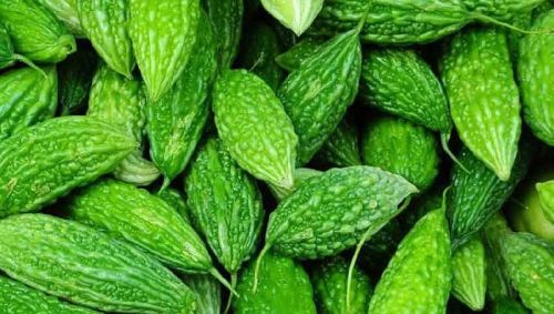 Bitter gourd