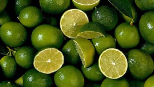 Limes