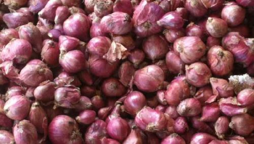 Small Red Onions