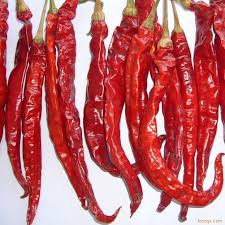 Teja Red Chilli