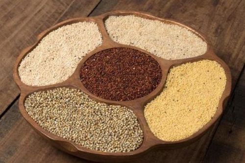 Organic Millet Seeds