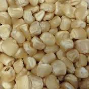 White Corn Seeds