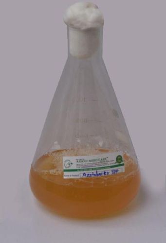 Azotobacter SPP, For Seed Treatment, Soil Application, Drip Irrigation, Purity : 100 %
