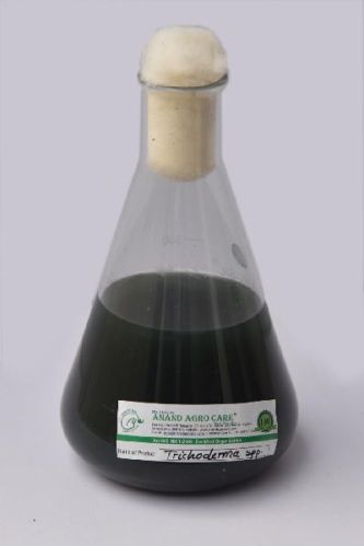 Trichoderma Viride (Dr. Bacto's Dermus), For Agriculture Fungicide, CAS No. : 30029030