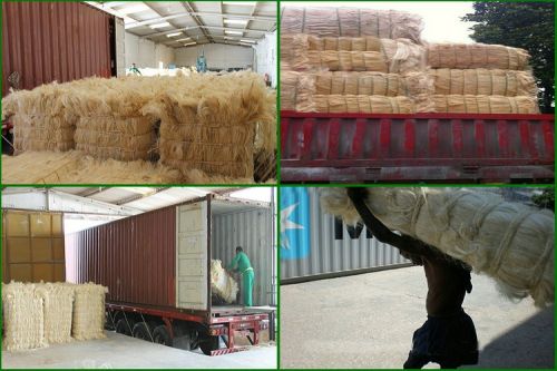 Sisal Fiber