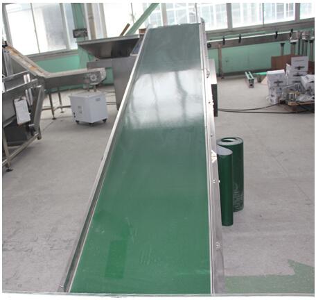 Stainless steel Nylon Belt Conveyor